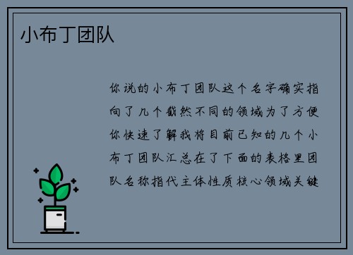 小布丁团队